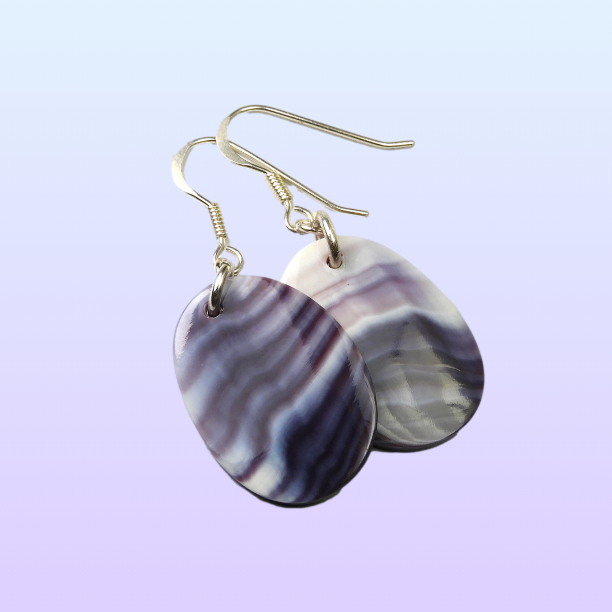 Oval Shell Earrings