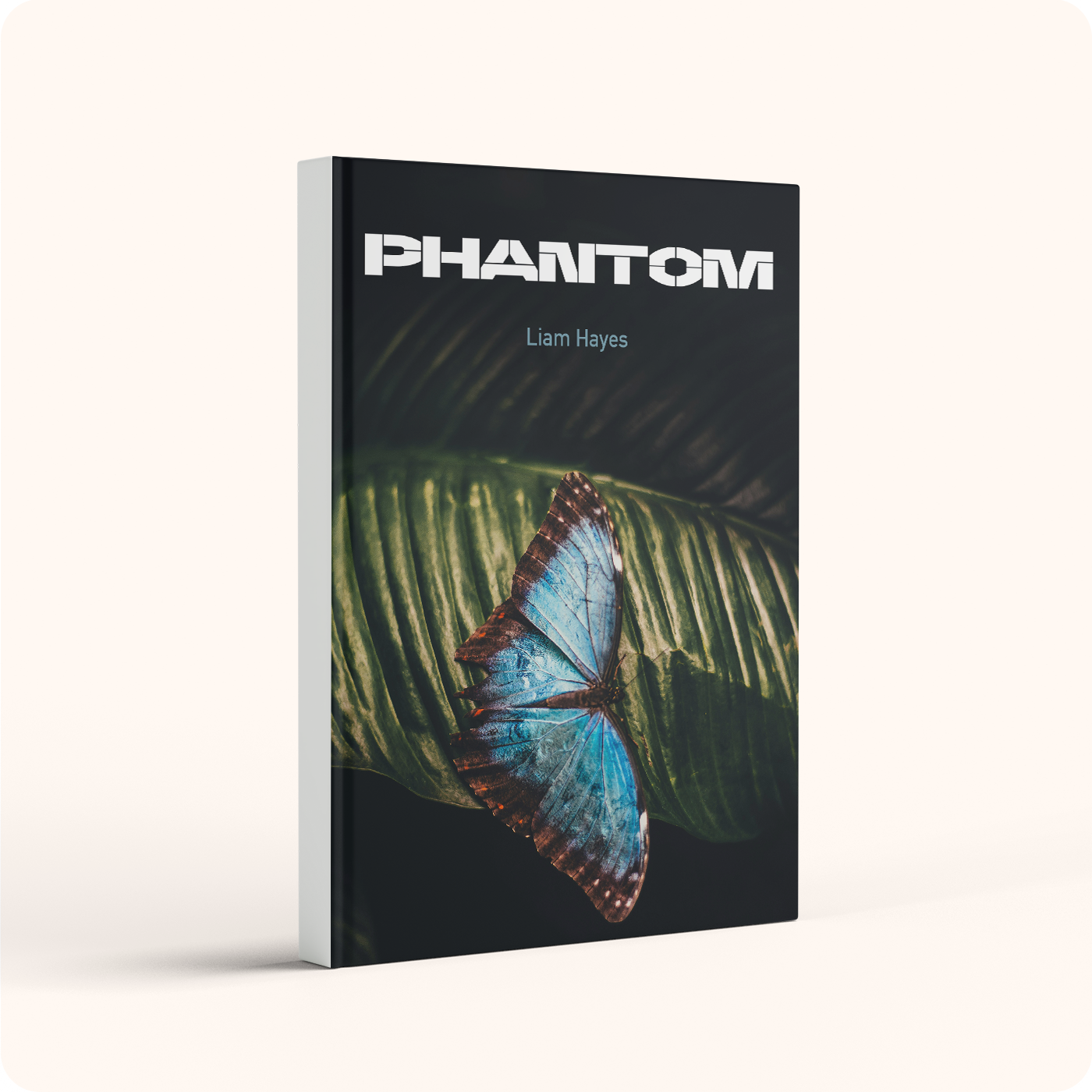 Phantom - Liam Hayes