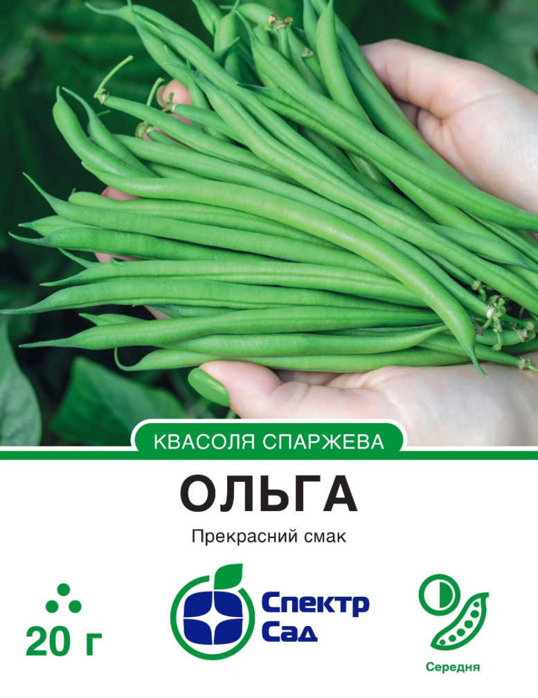 Спаржева квасоля Ольга, 20 г