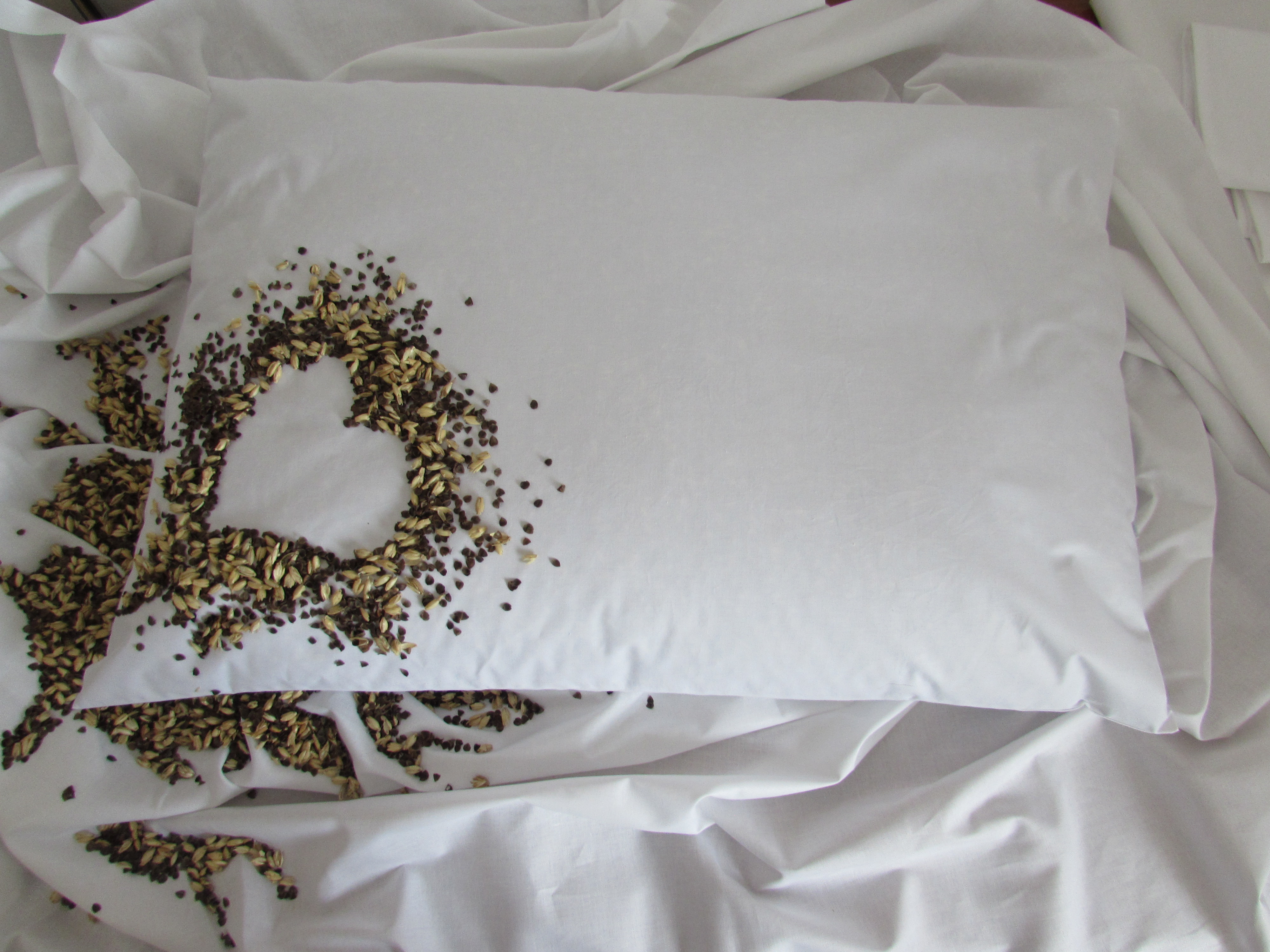 Pohánkovo špaldový vankúš 50x70cm