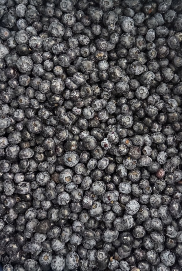 Frozen Blueberry