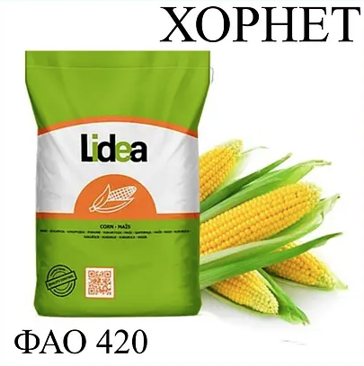 Насіння кукурудзи гібрид ЄС Хорнет ФАО 420 Кукурудза високої врожайності