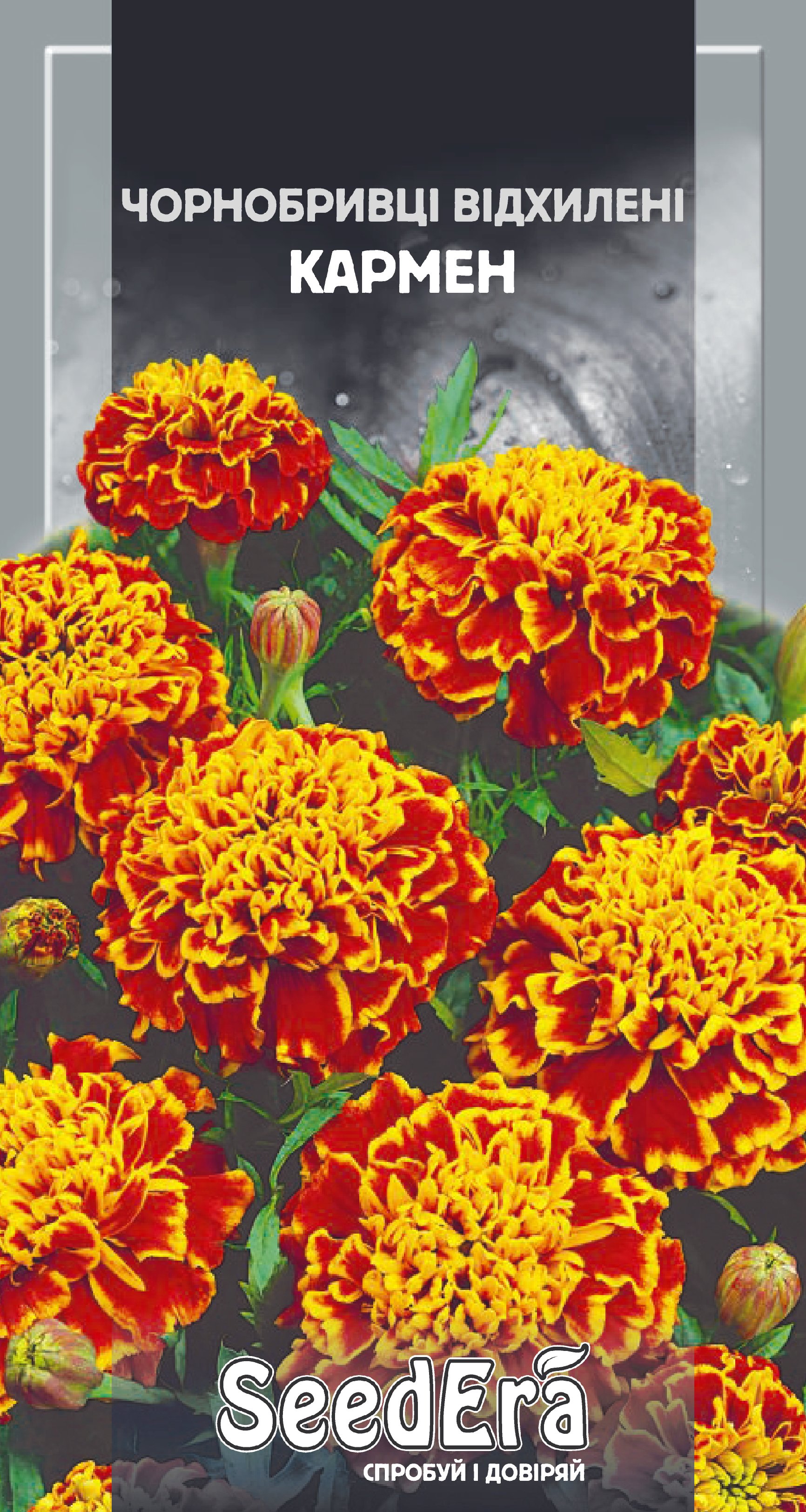 Насіння Квіти Чорнобривці низькоросла відхил. Кармен, 0,5 г