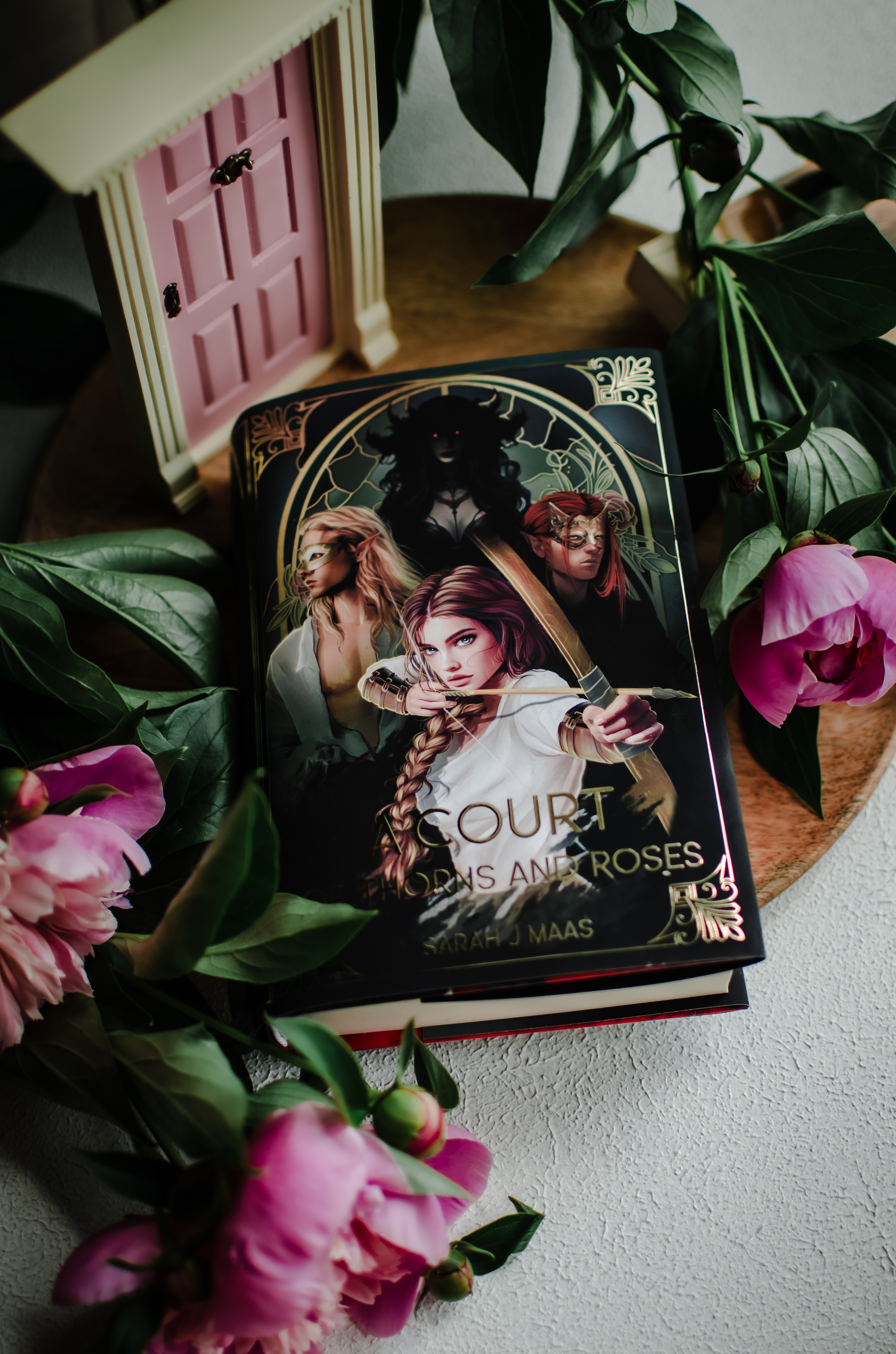 Суперобкладинка «A Court of Thorns and Roses» (двостороння)