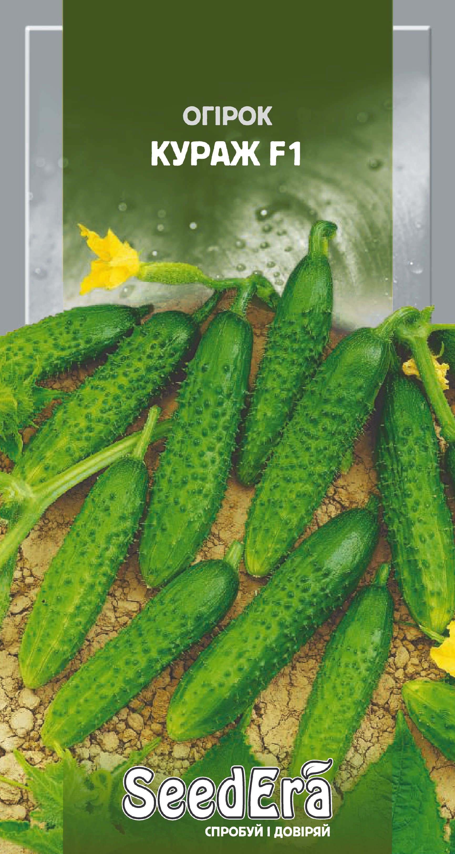 Насіння Огірок КУРАЖ, 100 шт