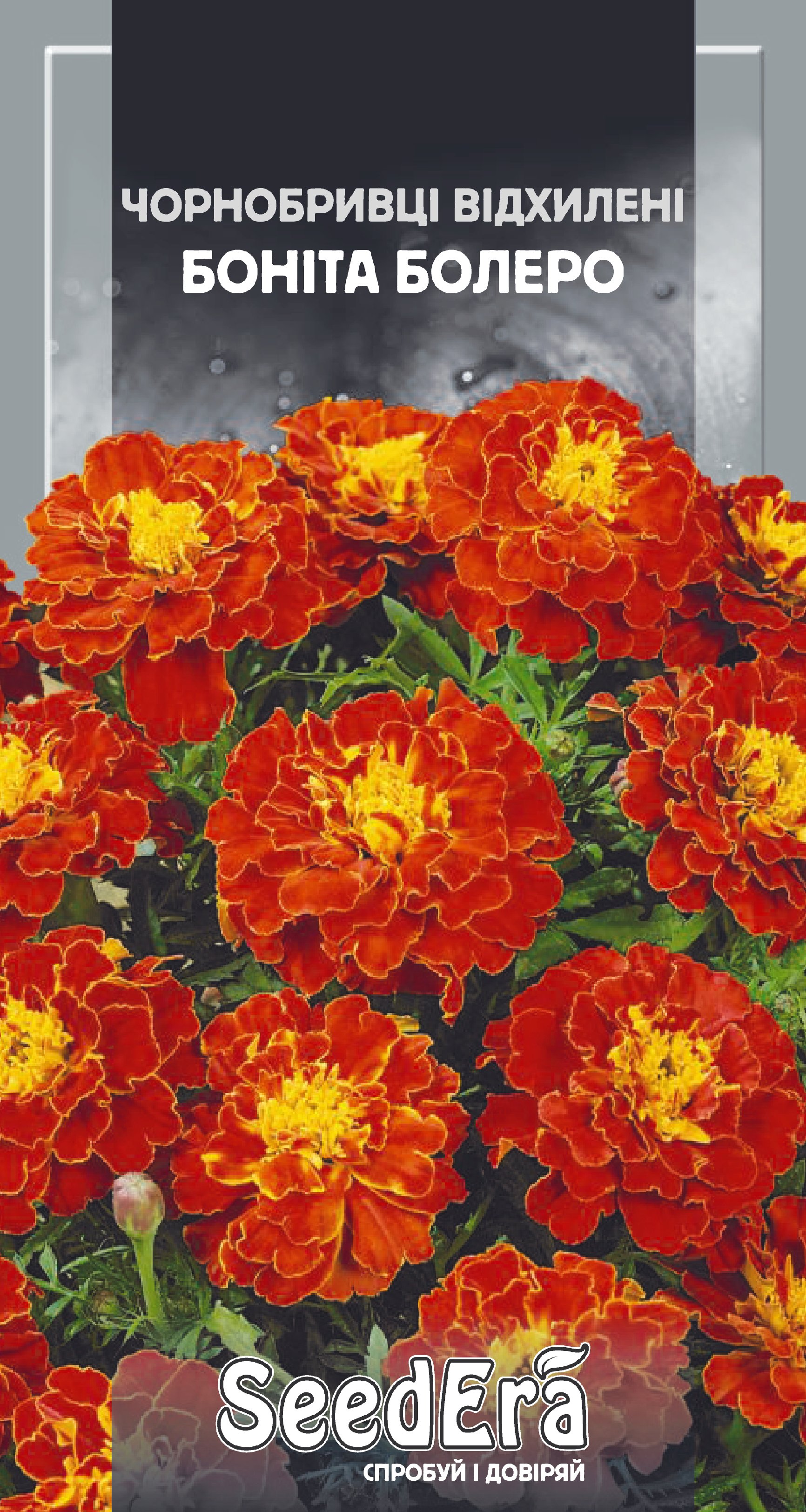 Насіння Квіти Чорнобривці низькоросла відхил. Боніта Болеро, 0,5 г