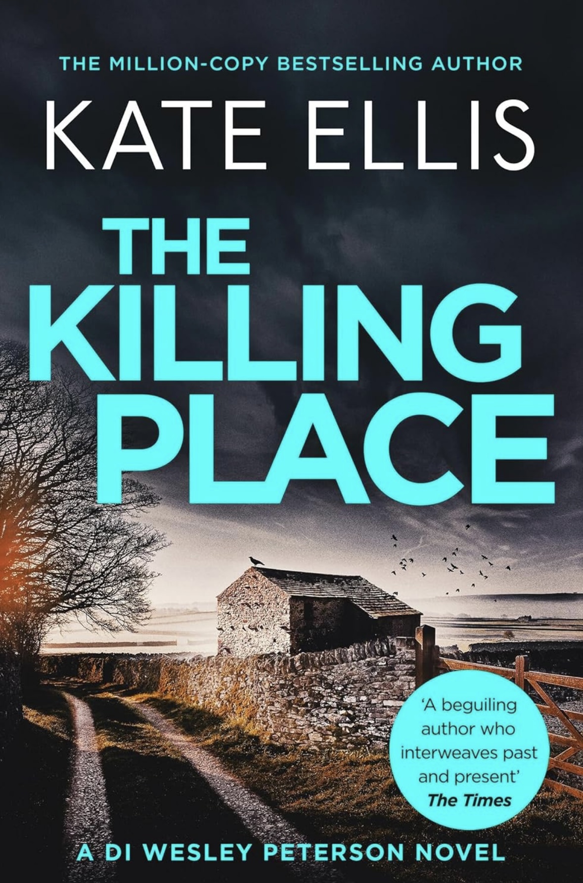 The Killing Place Kate Ellis