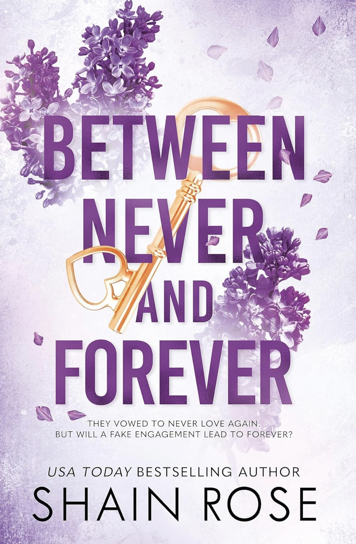 BETWEEN NEVER AND FOREVER Shain Rose book 3