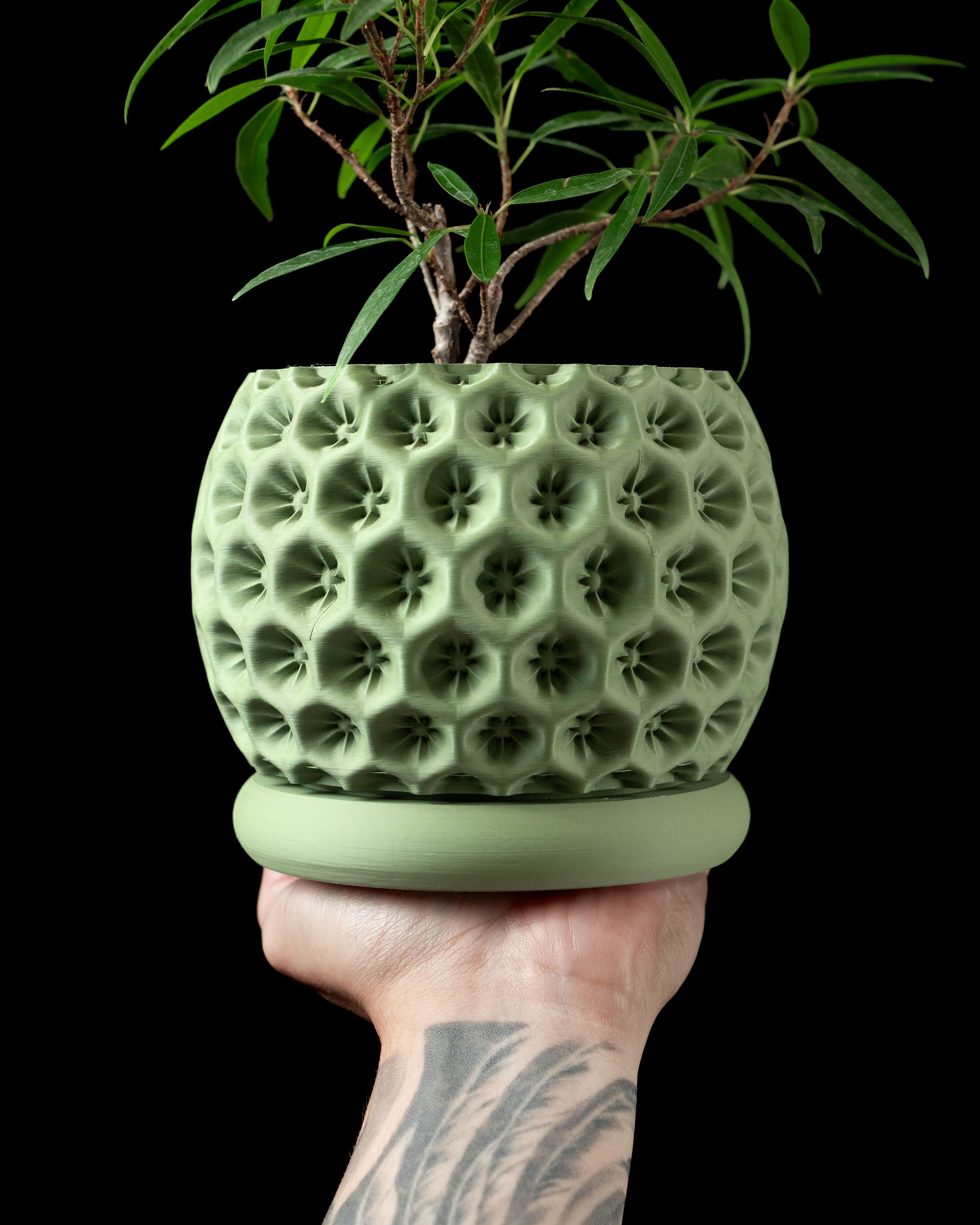 Starry Planter Pot – Modern 3D Printed Planter