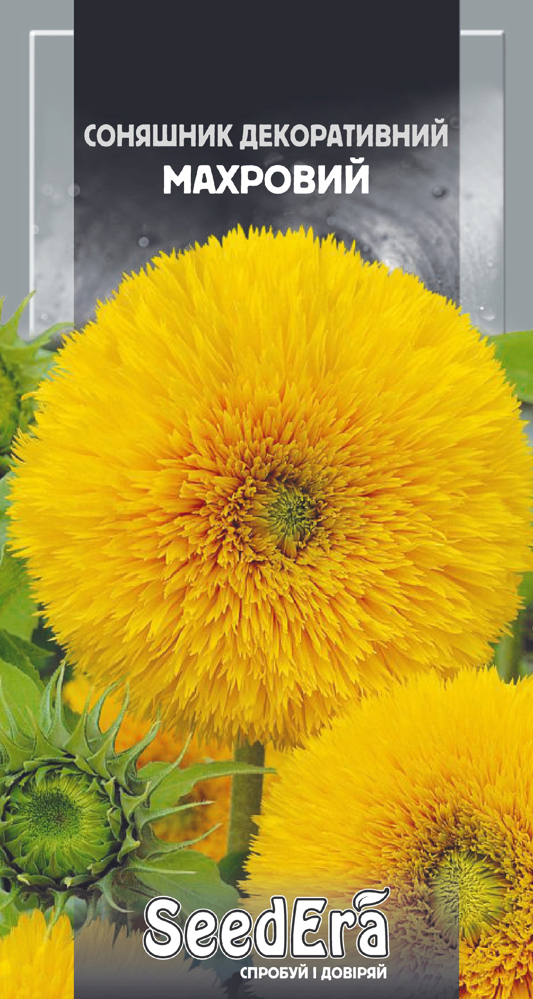 Hасіння Квіти Соняшник декоративний махровий, 1 г