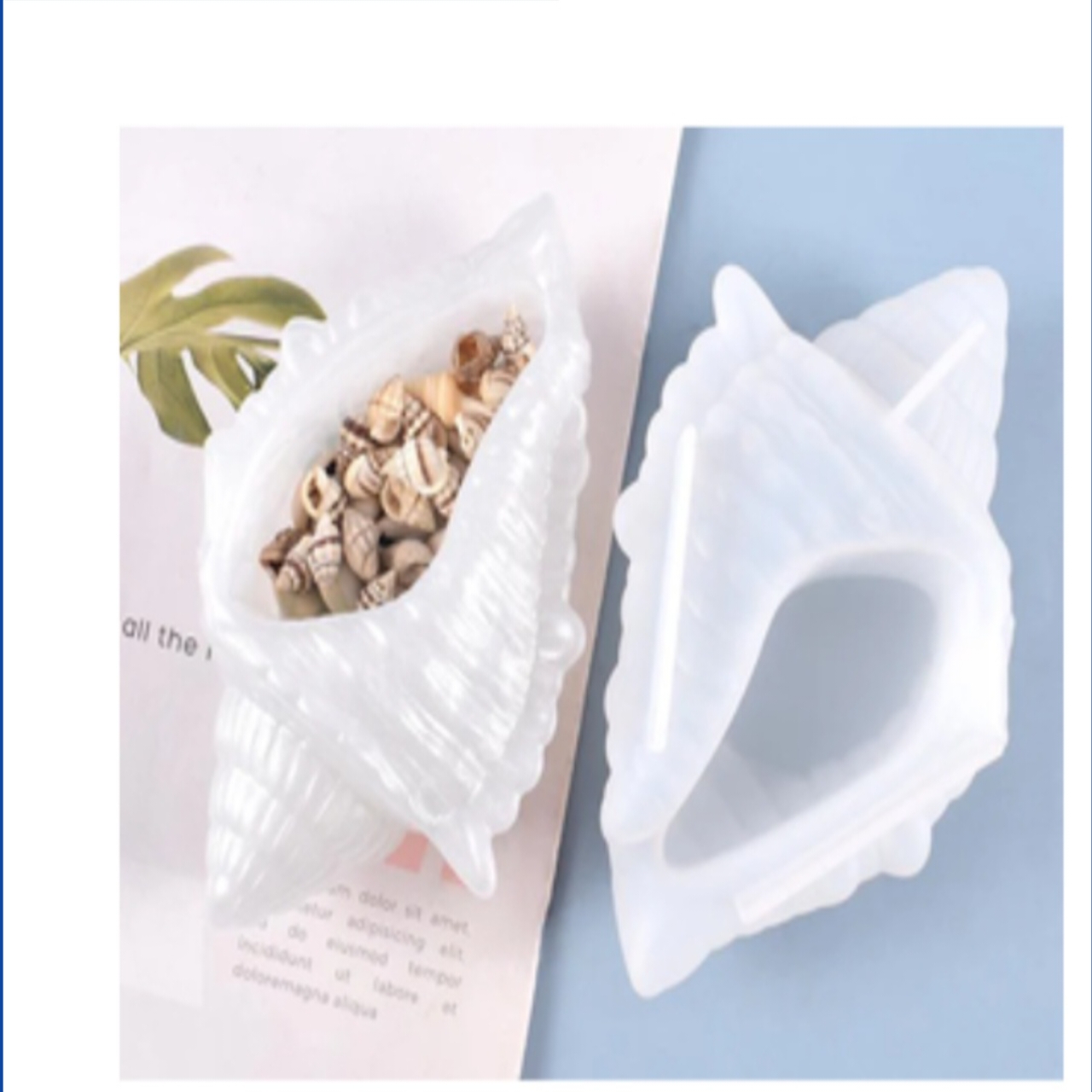 Seashell Mold