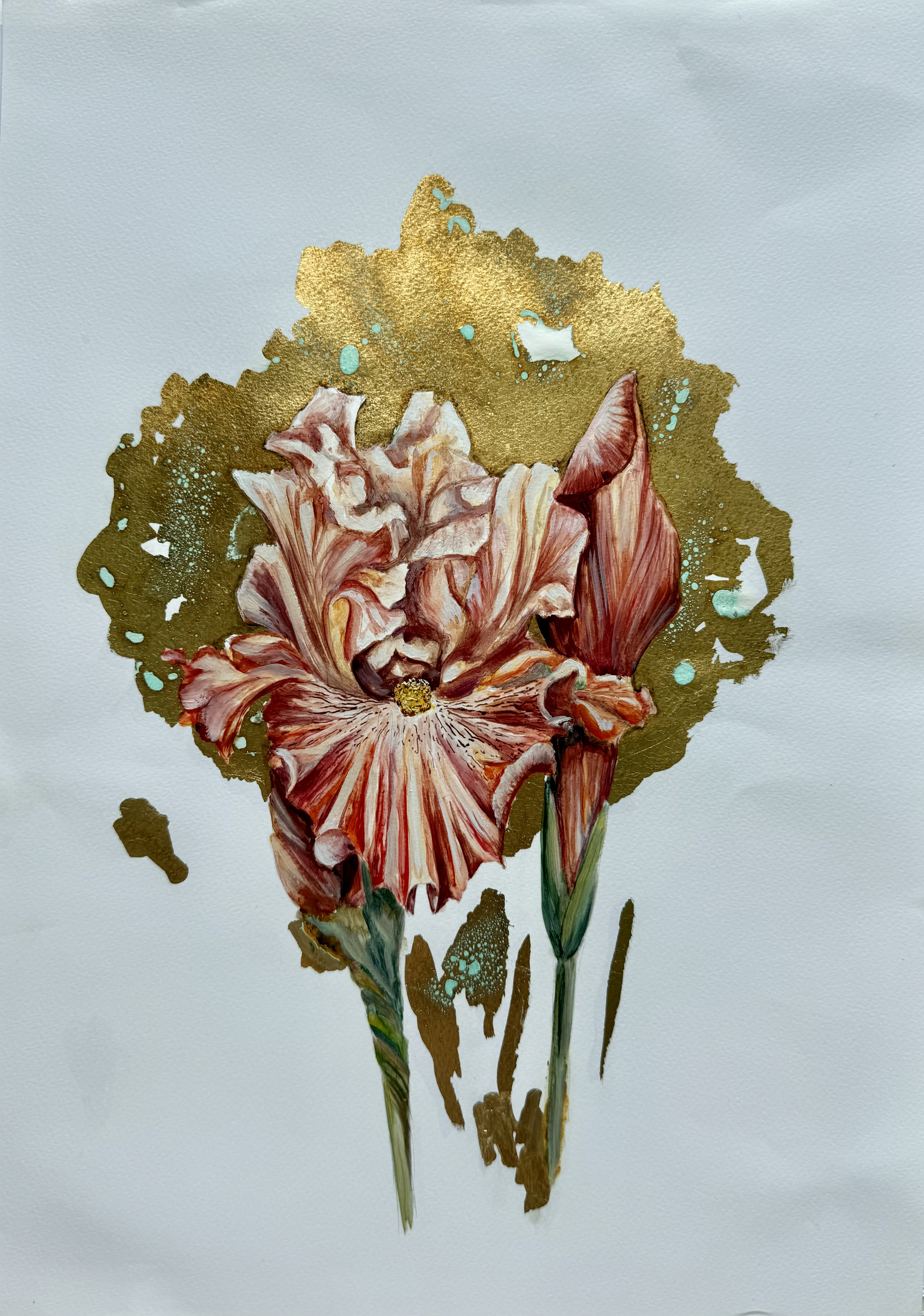 Iris I