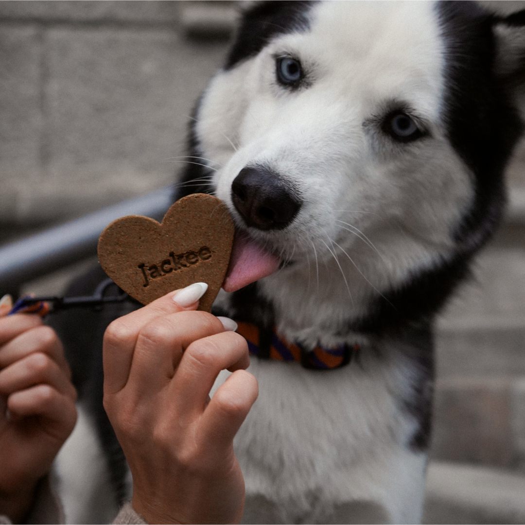 Гіпоалергенний смаколик-печиво для собак з лососем «Dog Cookies Power Heart»