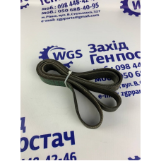 Ремінь поліклиновий R206983 / R183925 / R200920 / 8PK1782 / AG17770R [TIMKEN BELTS]