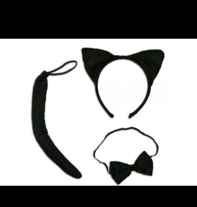 нібір котика