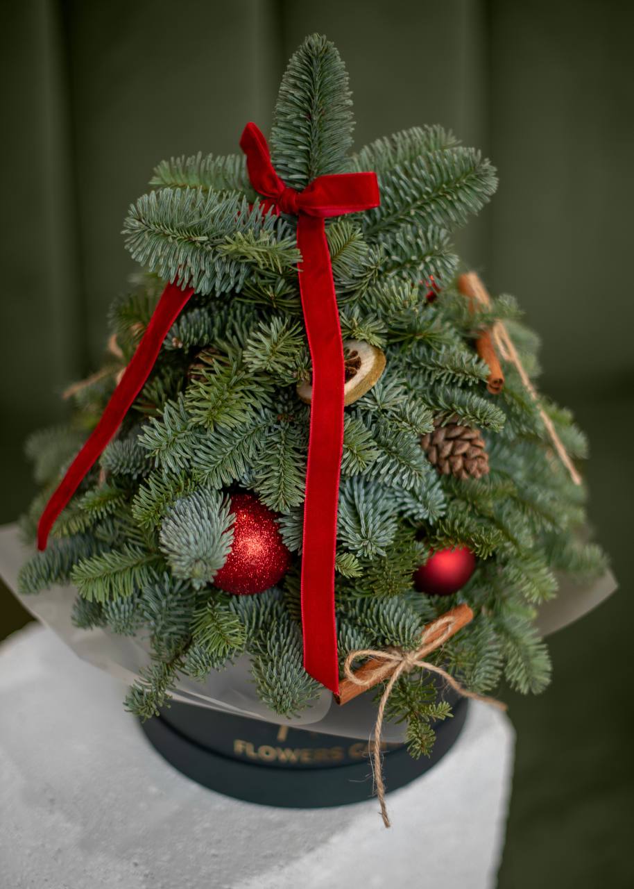 Різдвяна композиція №9