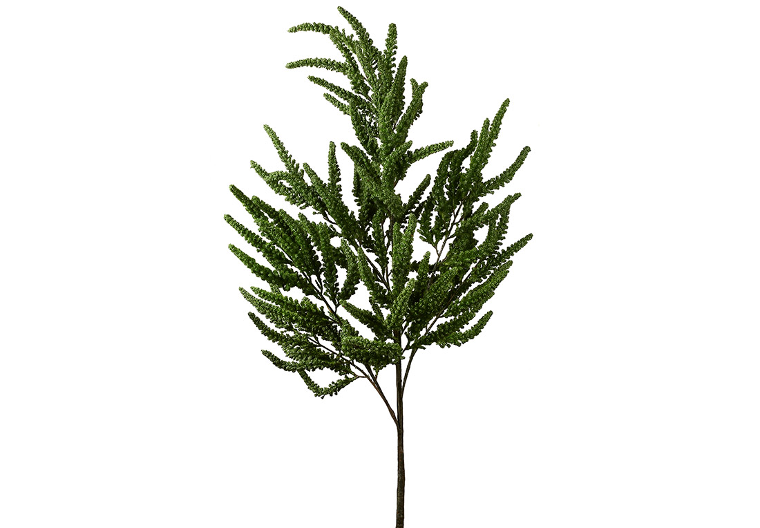 Декоративна гілка Амарату