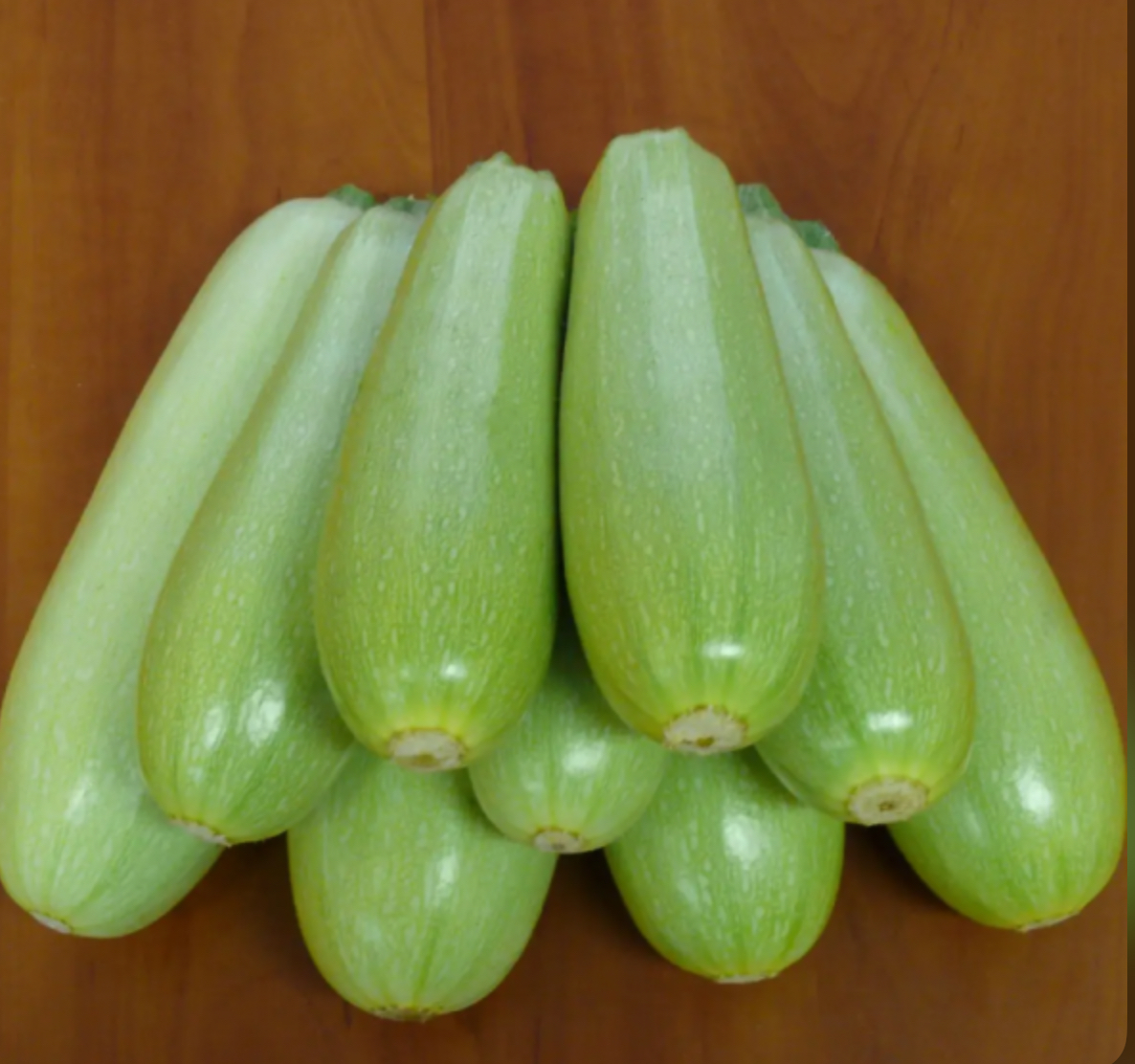 Кабачок кущовий 3 г