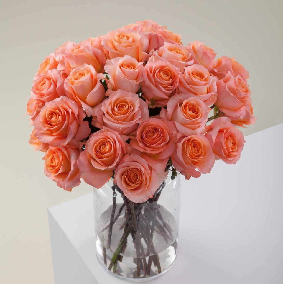 Корал Ріф (Coral Reef)