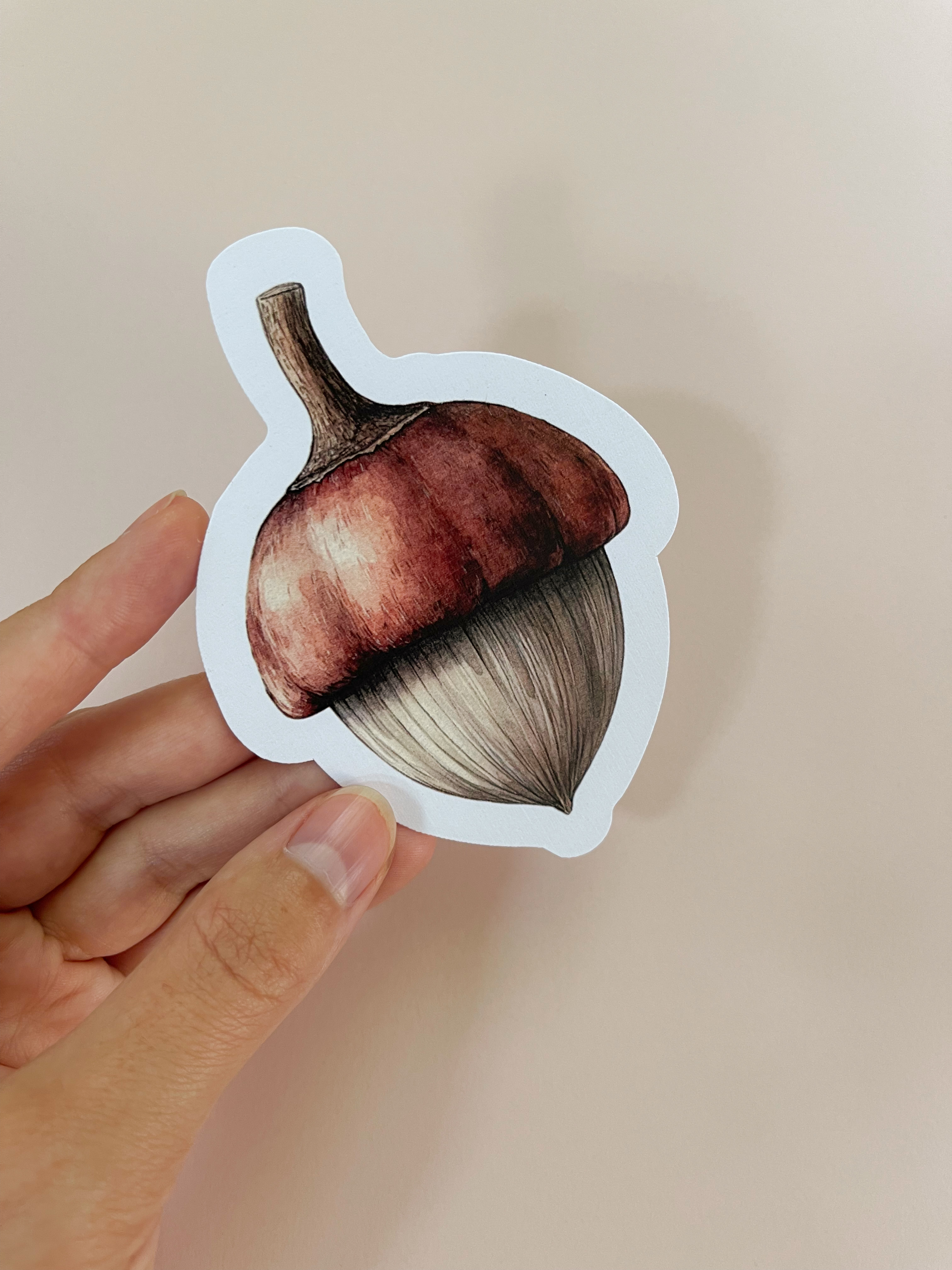 Листівка M5273