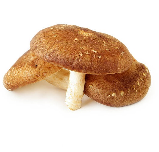 CHAMPIGNONS SHIITAKE BIO (1x250g)