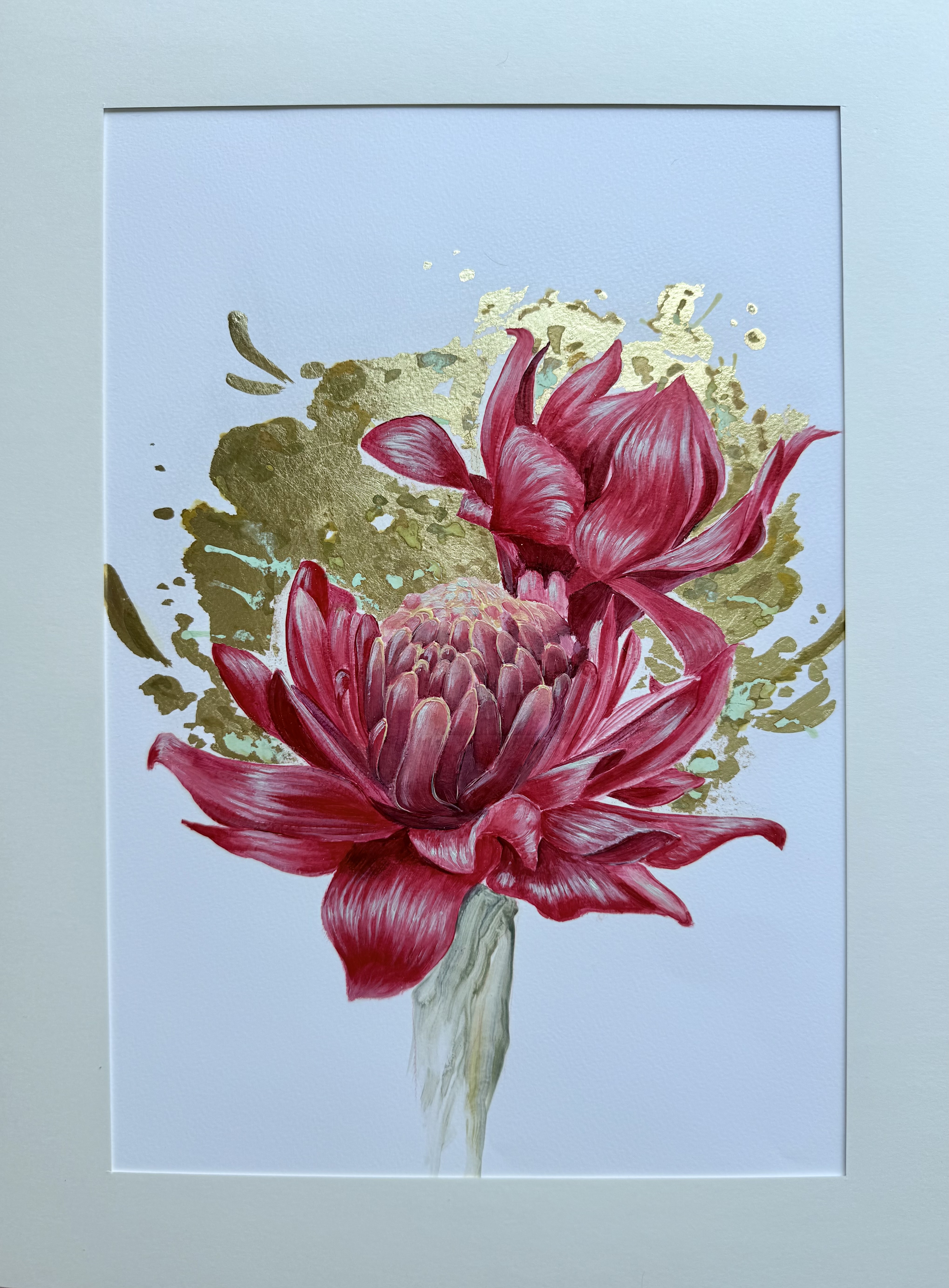 Waratah II