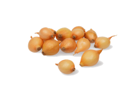 Цибуля-сіянка "Штуттгартер Різен" (Stuttgarter Riesen) TOP ONION