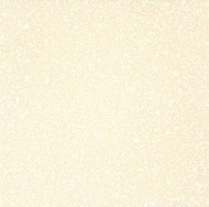 LT0028
