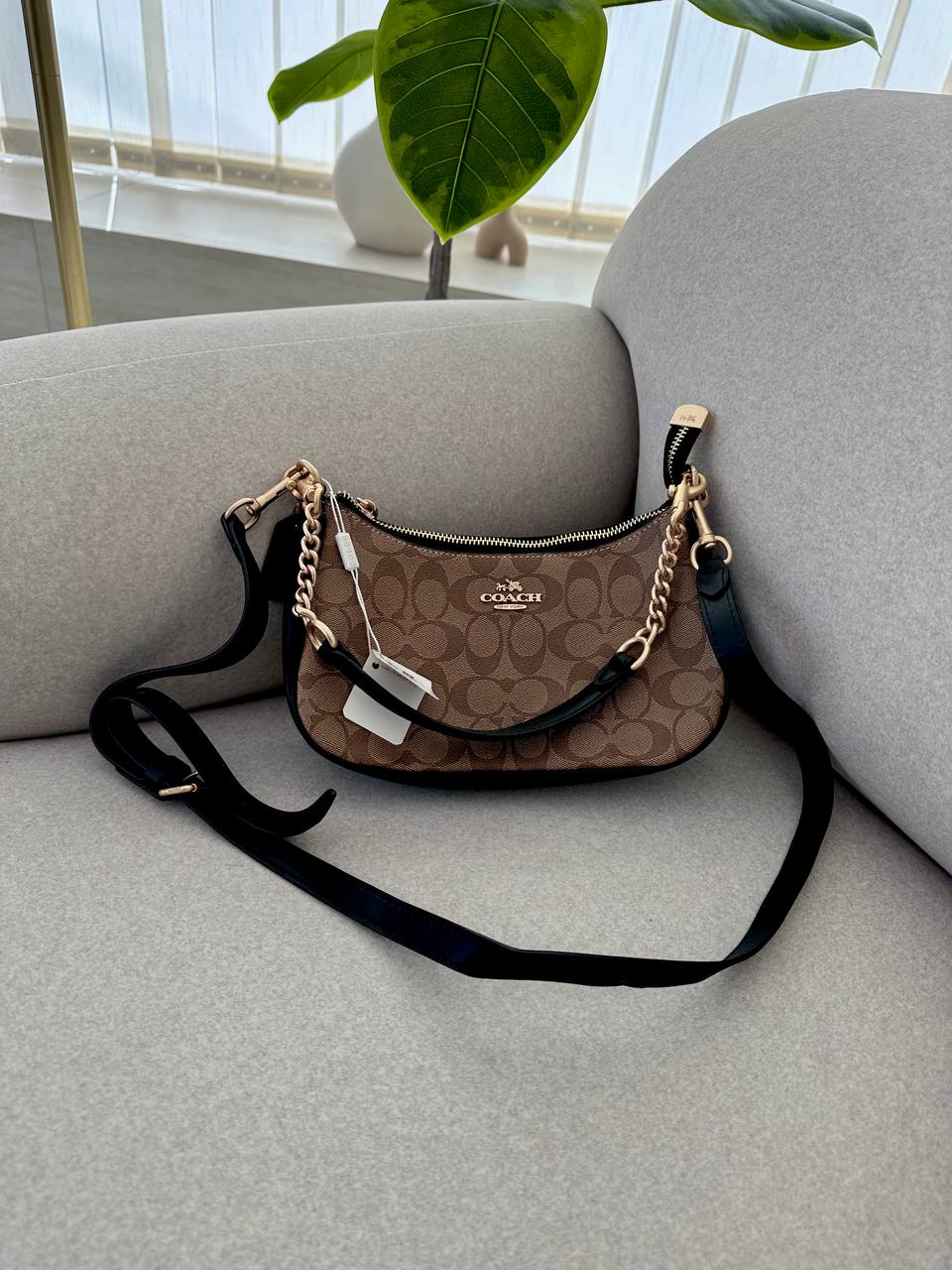 Coach Teri Shoulder Bag In Signature Canvas