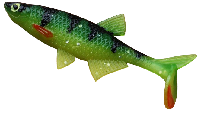 Alburnus Shad 3