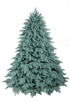 Ялинка С024 блакитна