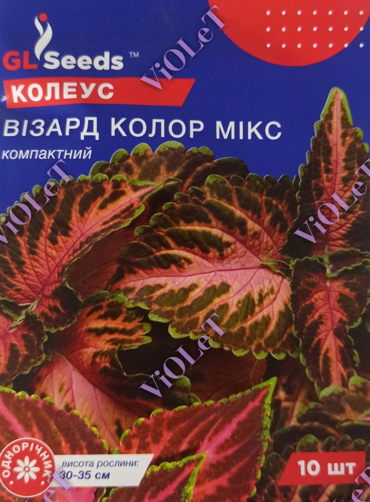 Колеус Візард Колор Мікс компактний, 10 шт. GL Seeds