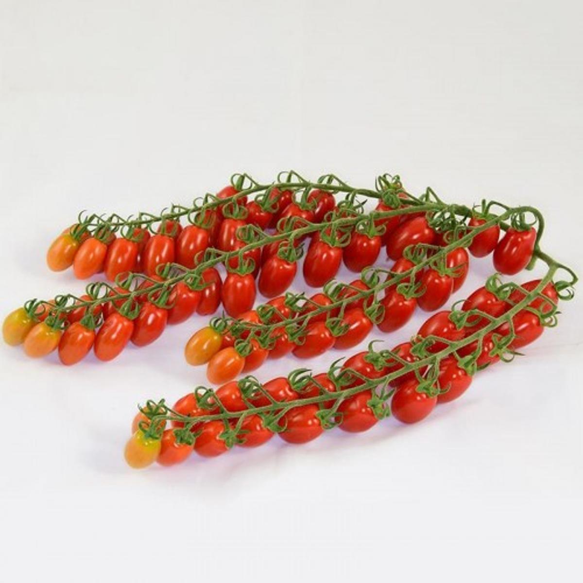 ЕС 51076 F1 (ES 51076 F1) семена помидора черри индетерминантного (Ergon seeds)  100 нас