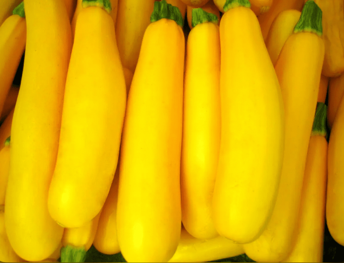 Кабачки світозар 5 г