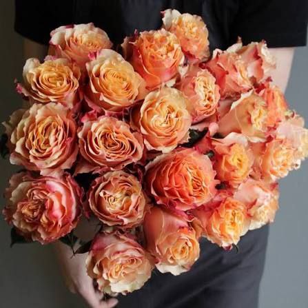 Карпе Діем (Carpe Diem)