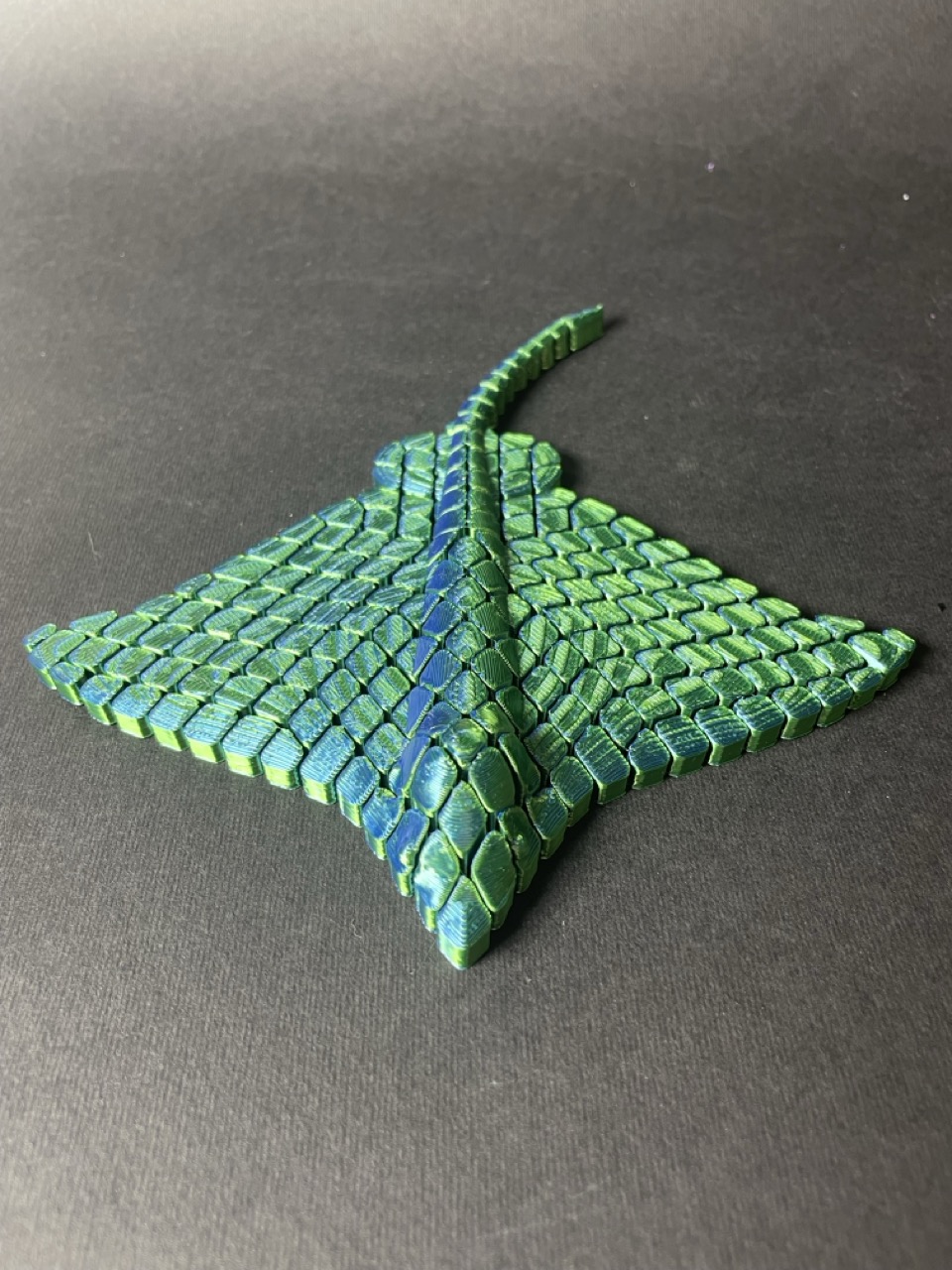 Риба скат рухома