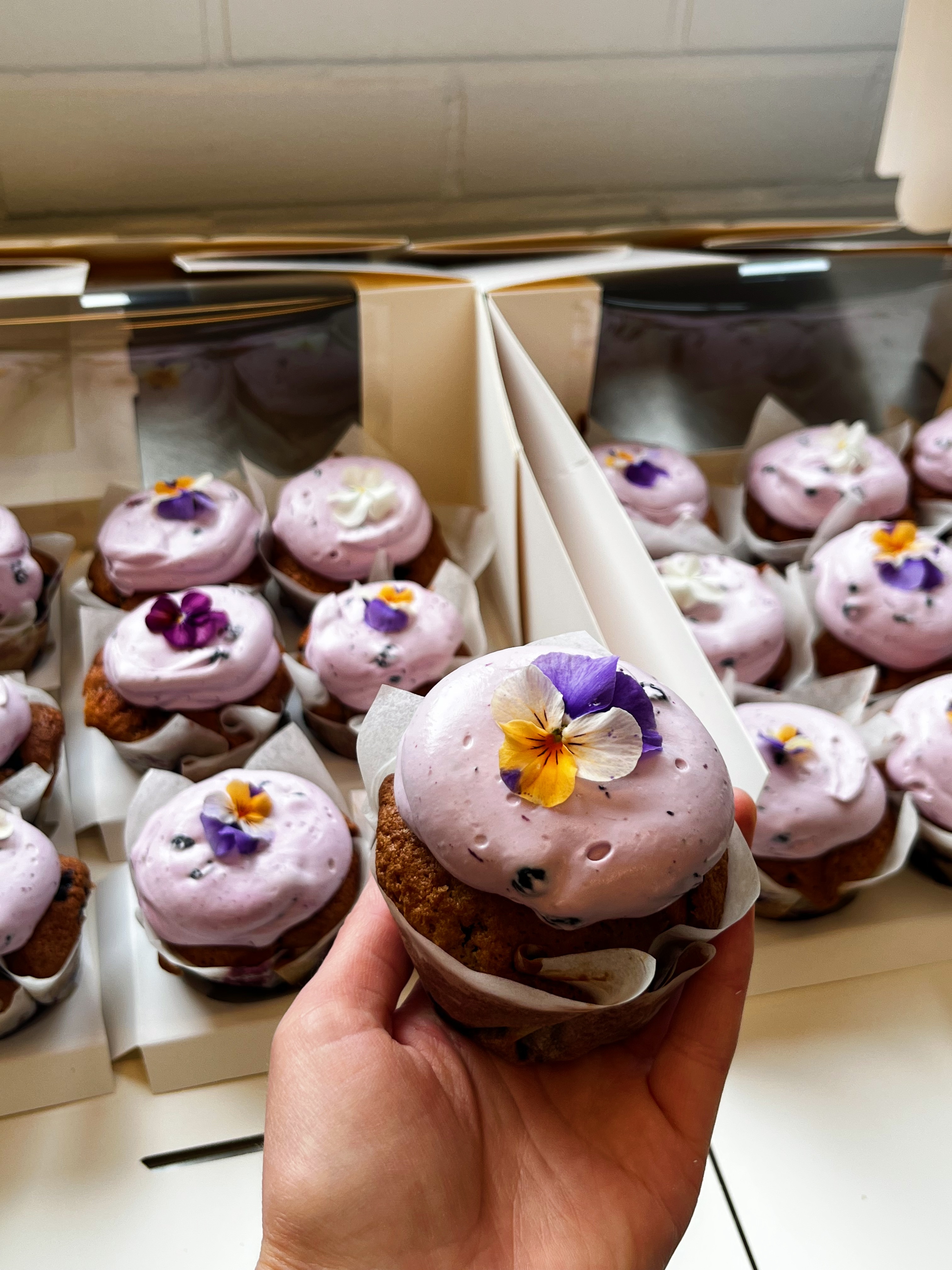 Blåbär Cupcakes / Mustikka Kuppikakku