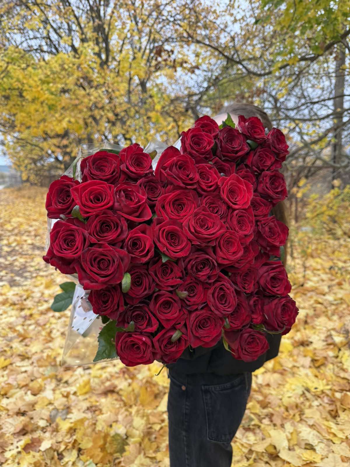 Червона троянда "Гран Прі"