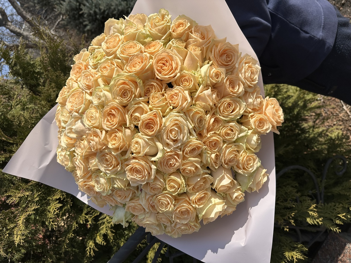 101 персикова троянда "Піч Аваланч"