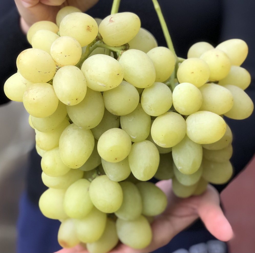 Слава Україні