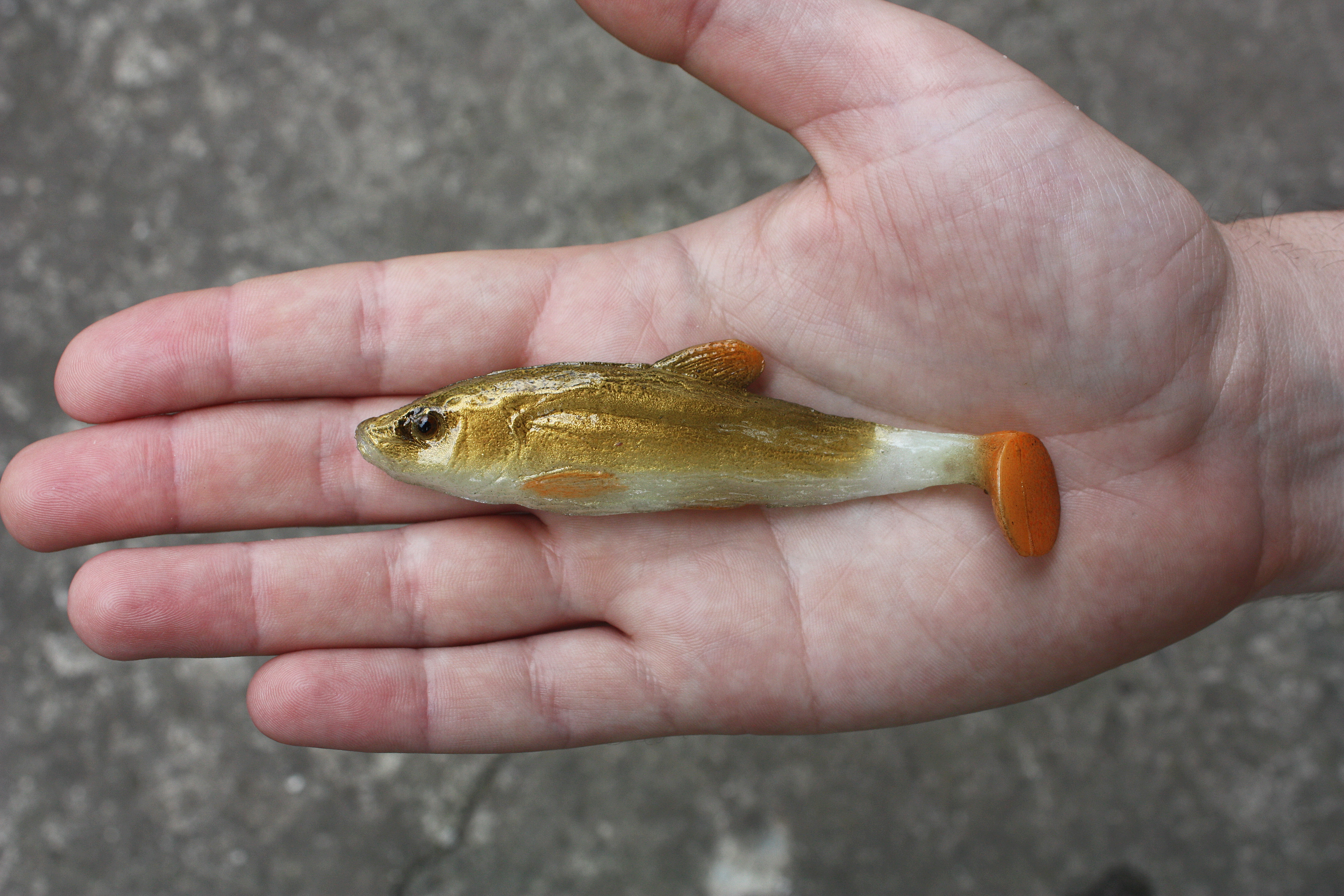 A&S Gold Tench 4