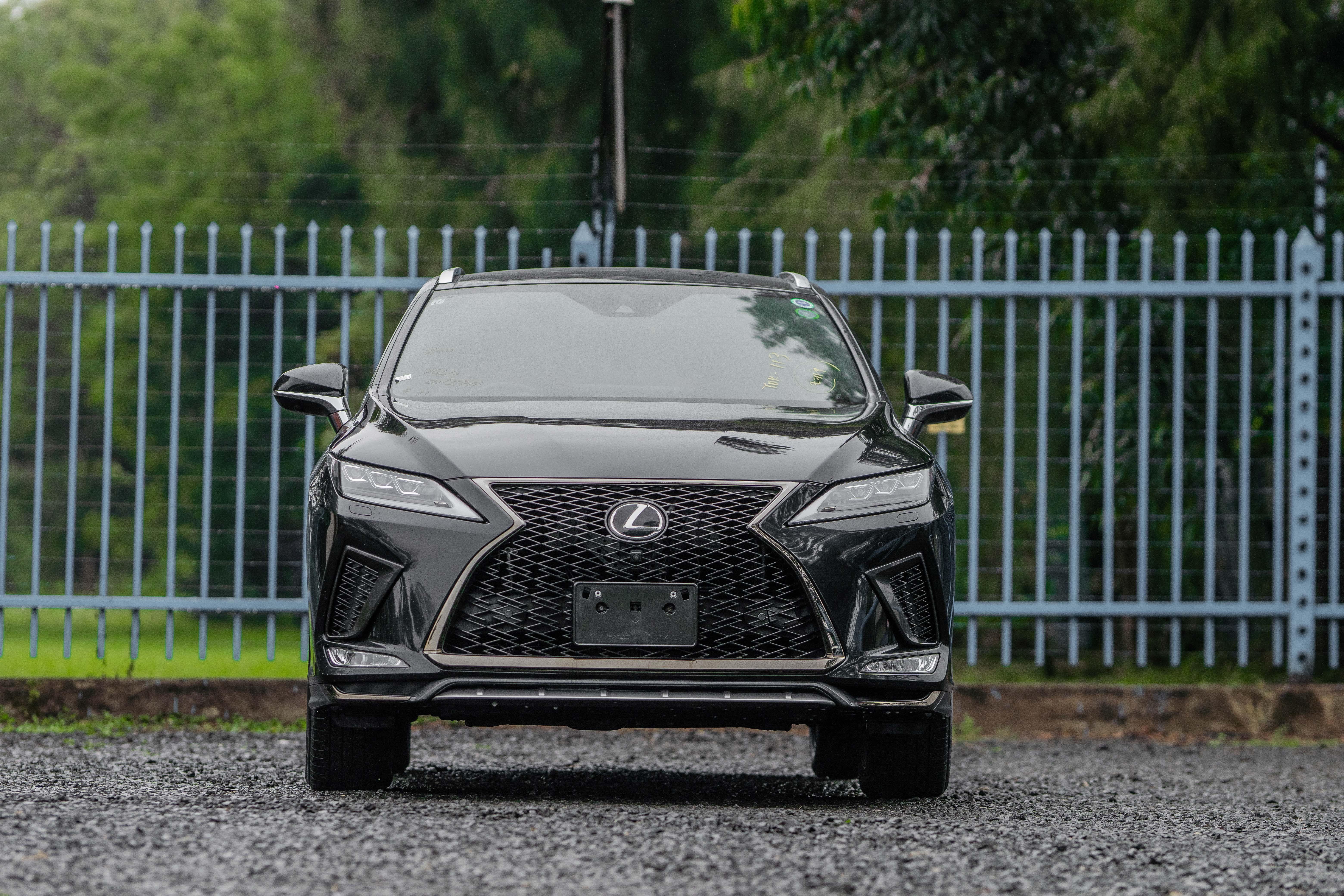 LEXUS RX300 F-SPORT