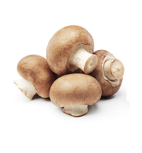 CHAMPIGNONS DE PARIS BRUN BIO (1x250g)