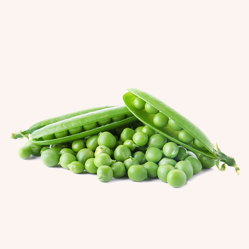 Sugar Snap Peas