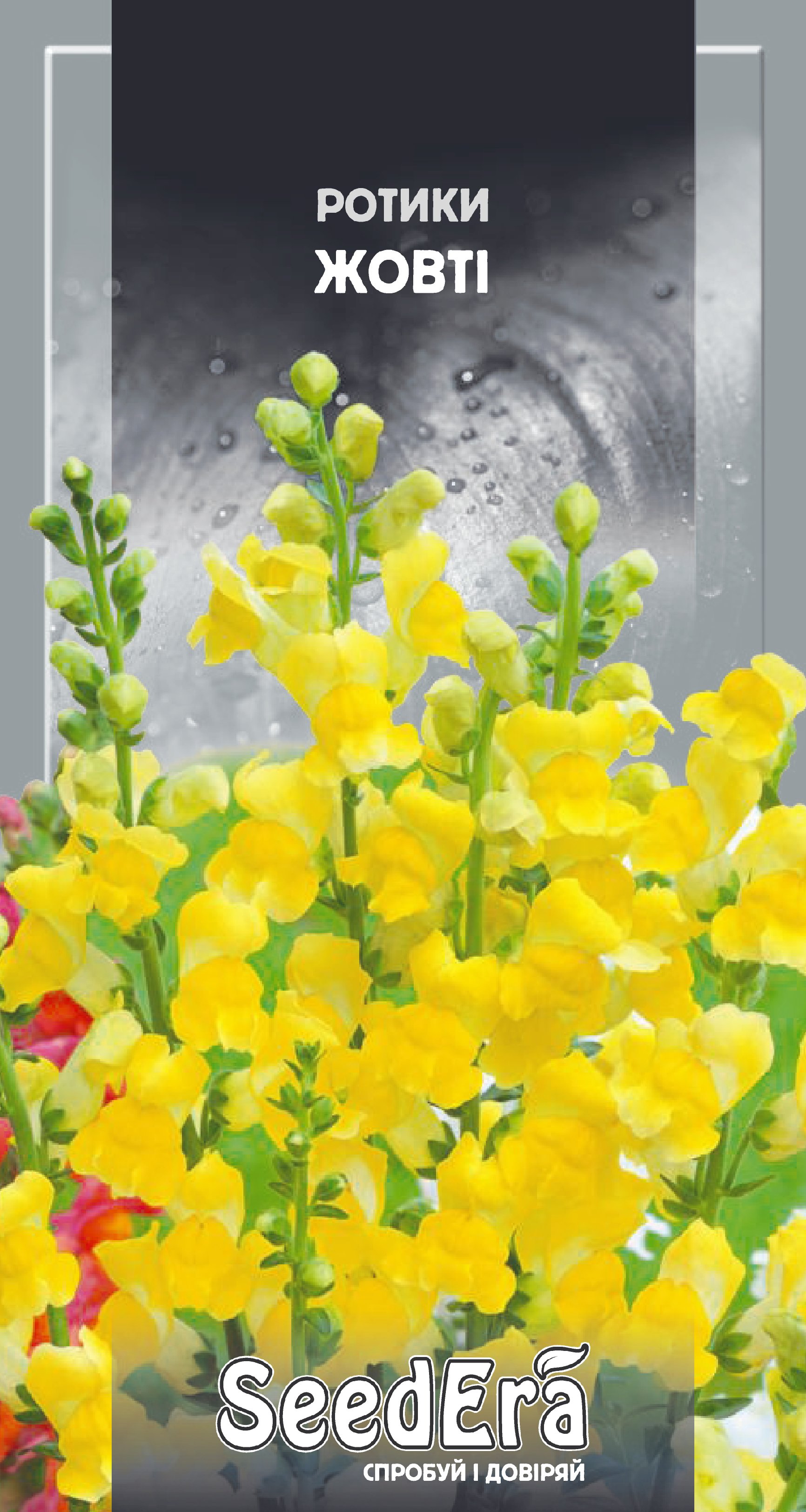 Насіння Квіти Ротики садові жовті, 0,2 г