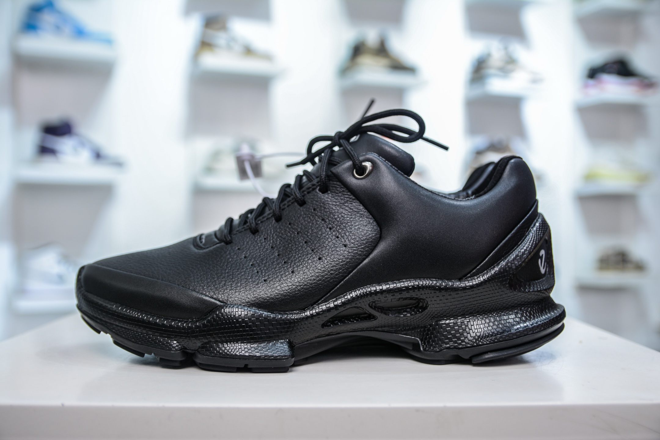 ECCO BIOM C M 03