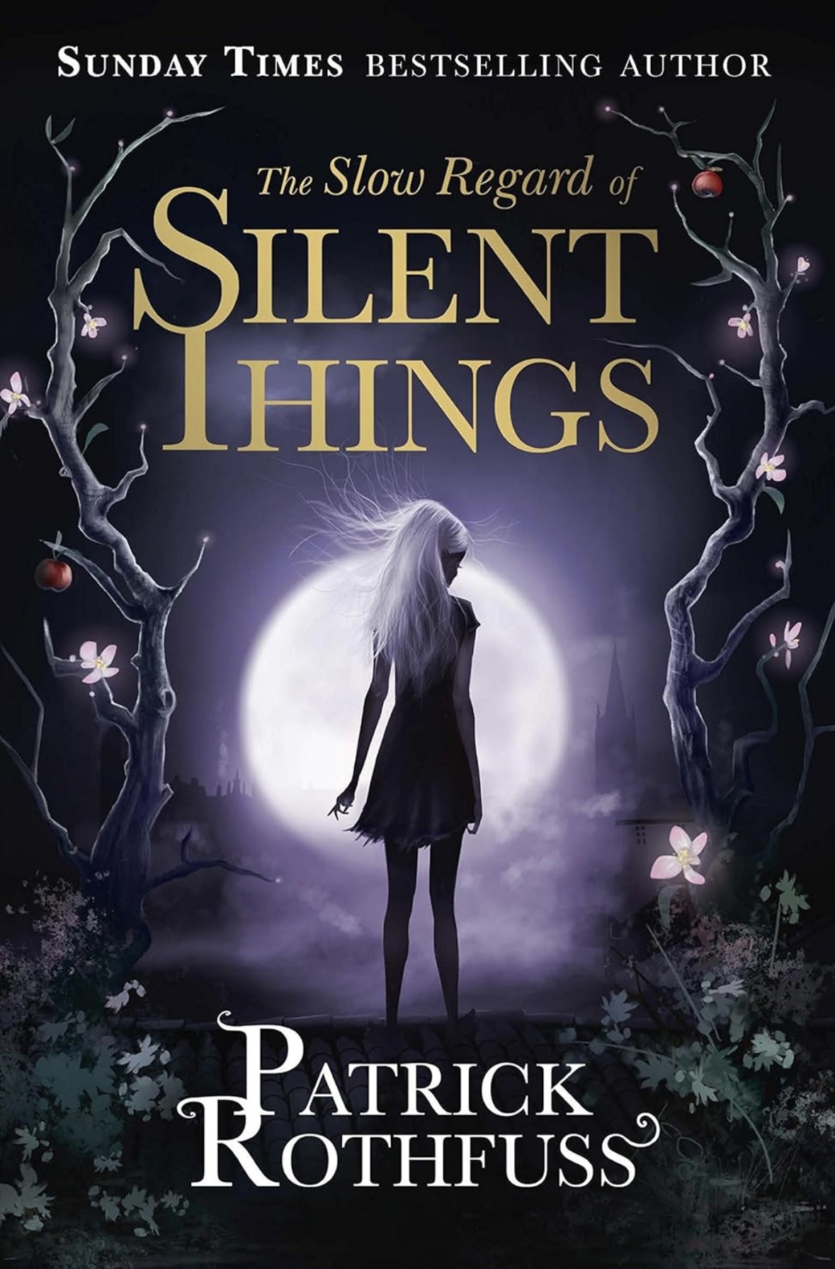 The Slow Regard of Silent Things Patrick Rothfuss