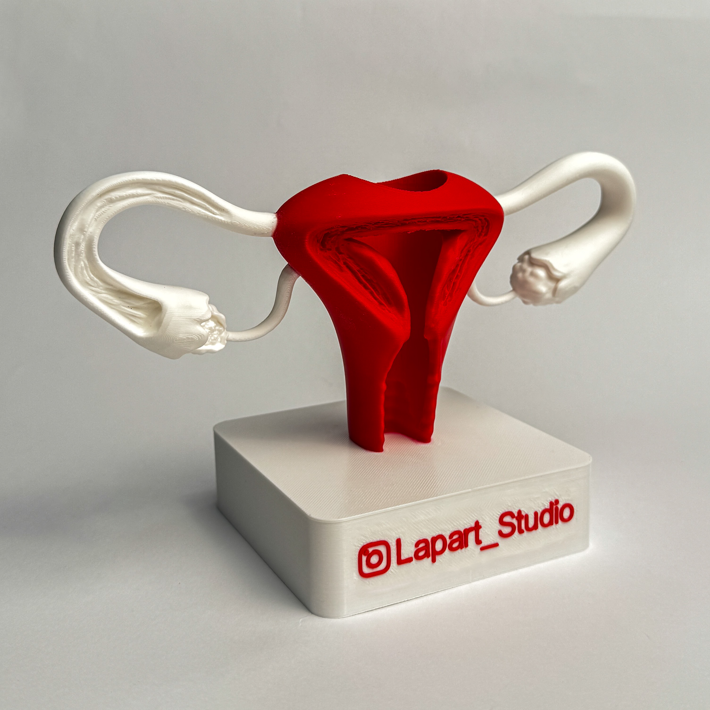 Анатомічна підставка у формі матки