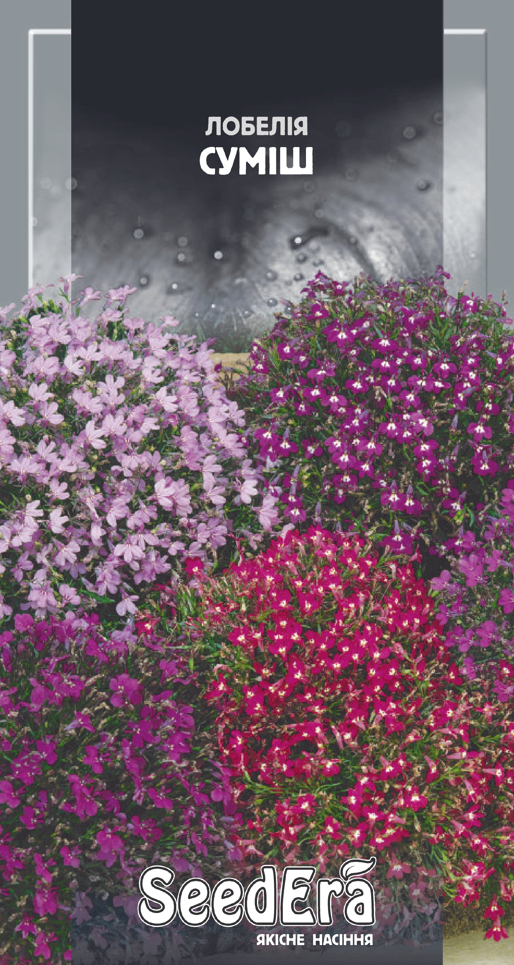 Насіння Квіти Лобелія суміш, 0,1 г