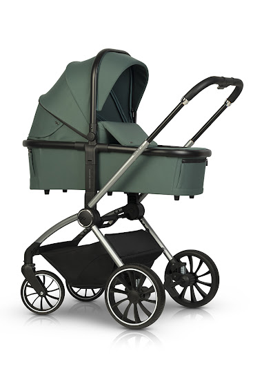 Коляска 2 в 1 EasyGo Giro green